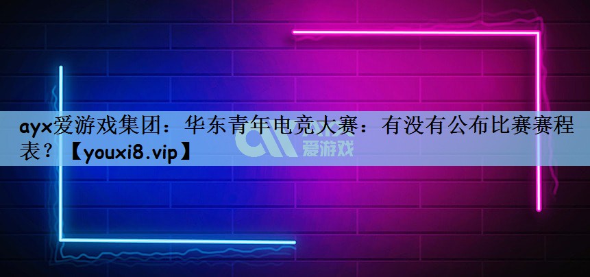 华东青年电竞大赛：有没有公布比赛赛程表？