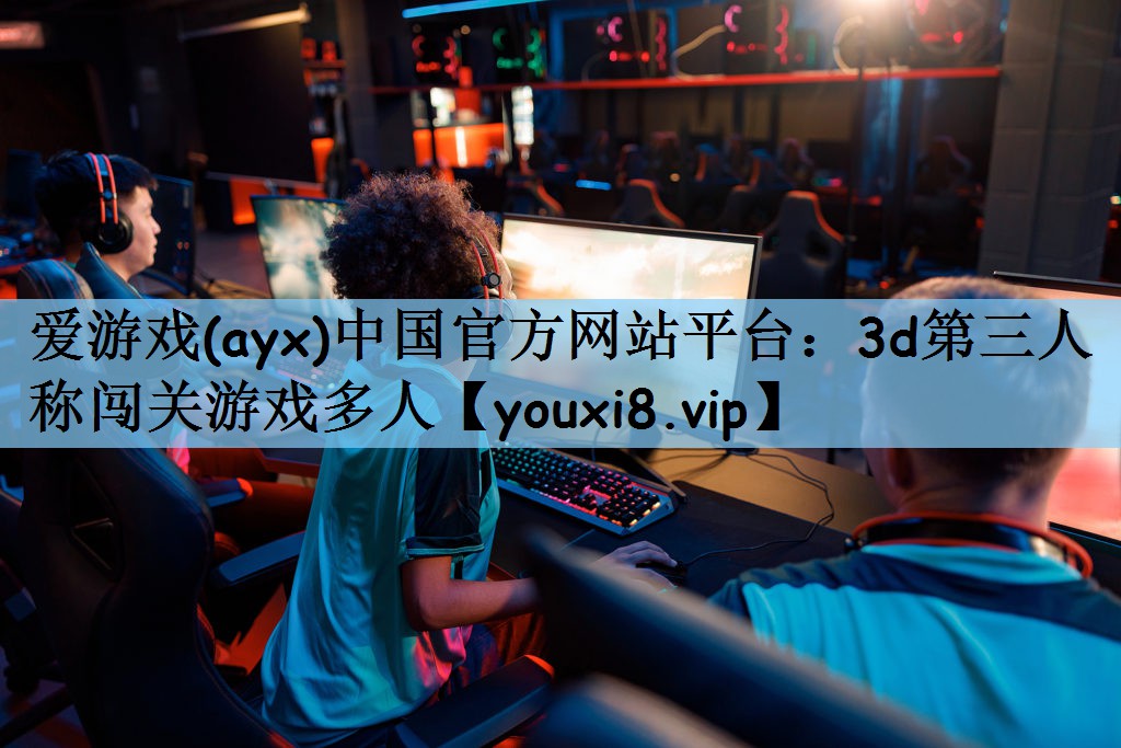 3d第三人称闯关游戏多人